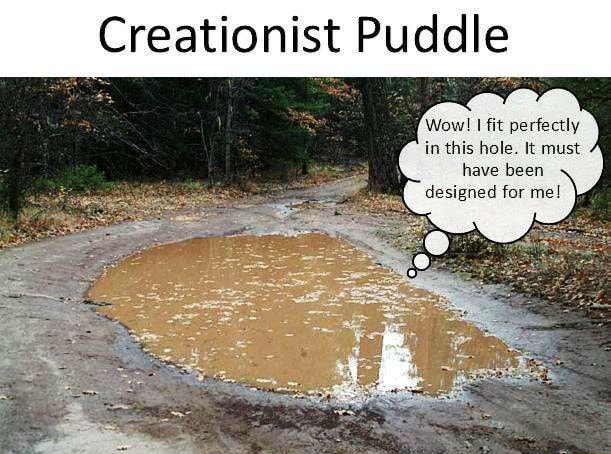 Intelligent Design Kreationistenpfütze