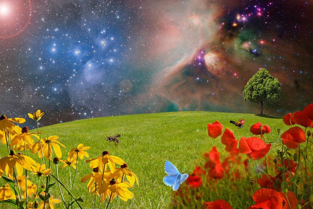 Kreationismus Wissenschaft