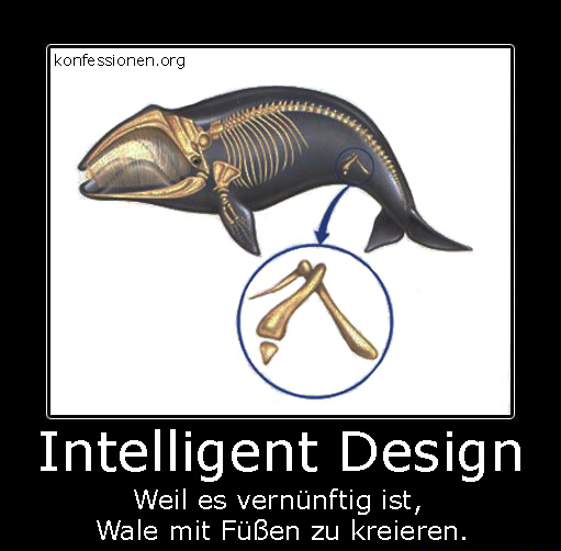 Teleologischer Gottesbeweis_Meme